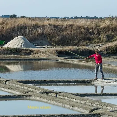 Duplex 4 Ch 1a10pers Tres Calme * Ла-Боль-Эскублак