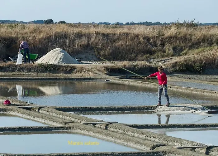 Duplex 4 Ch 1a10pers Tres Calme * La Baule